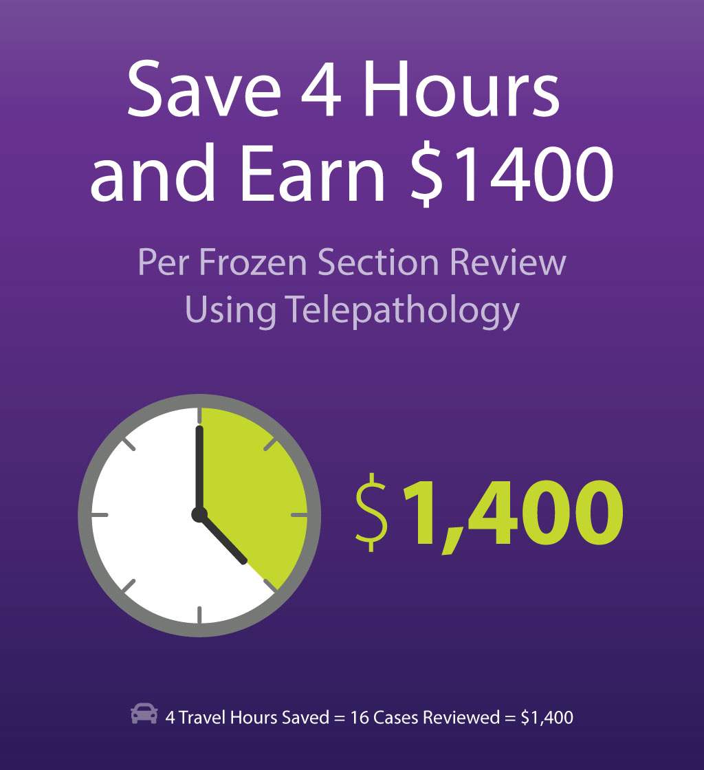 Frozed-Section-Infographic-Purple.jpg